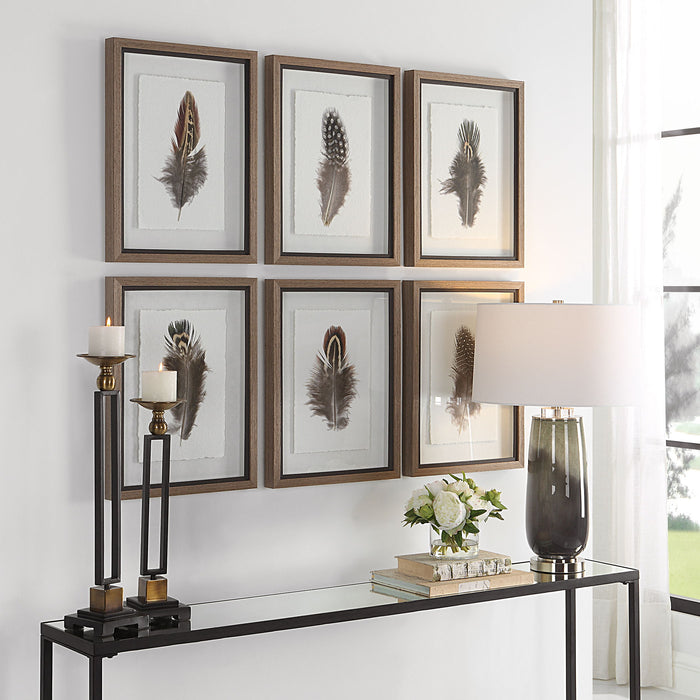 Birds Of A Feather - Framed Prints (Set of 6)