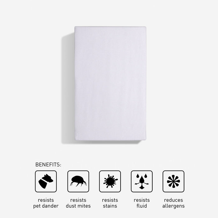 iProtect - Sofa Bed Mattress Protector - Queen X-Wide