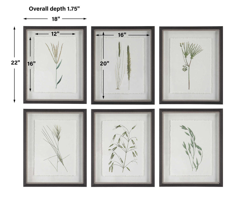 Forest - Finds Framed Prints (Set of 6)