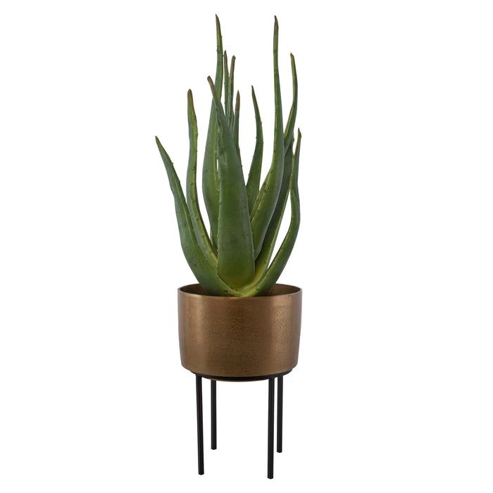 Arabia - Aloe Planter - Brown