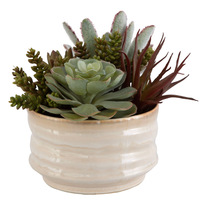 Mesa Succulent Accent - Pearl Silver