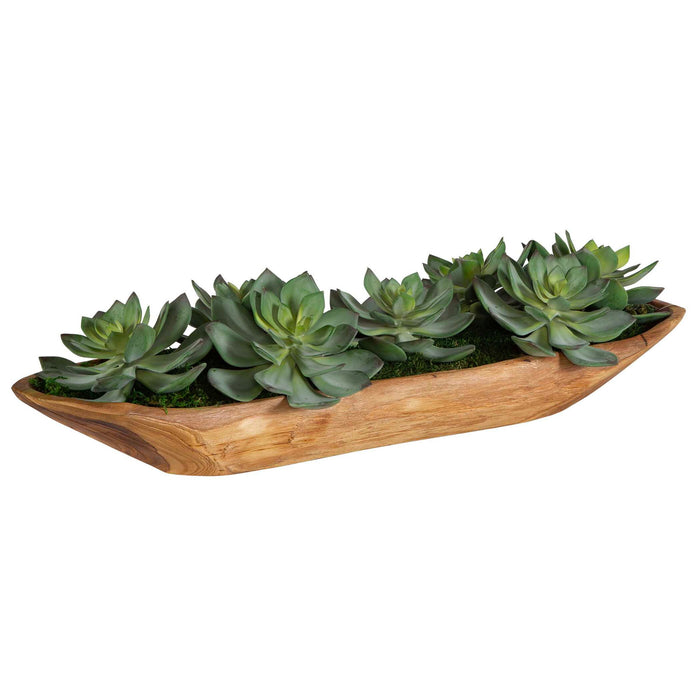 Yuma - Succulent Centerpiece - Dark Brown