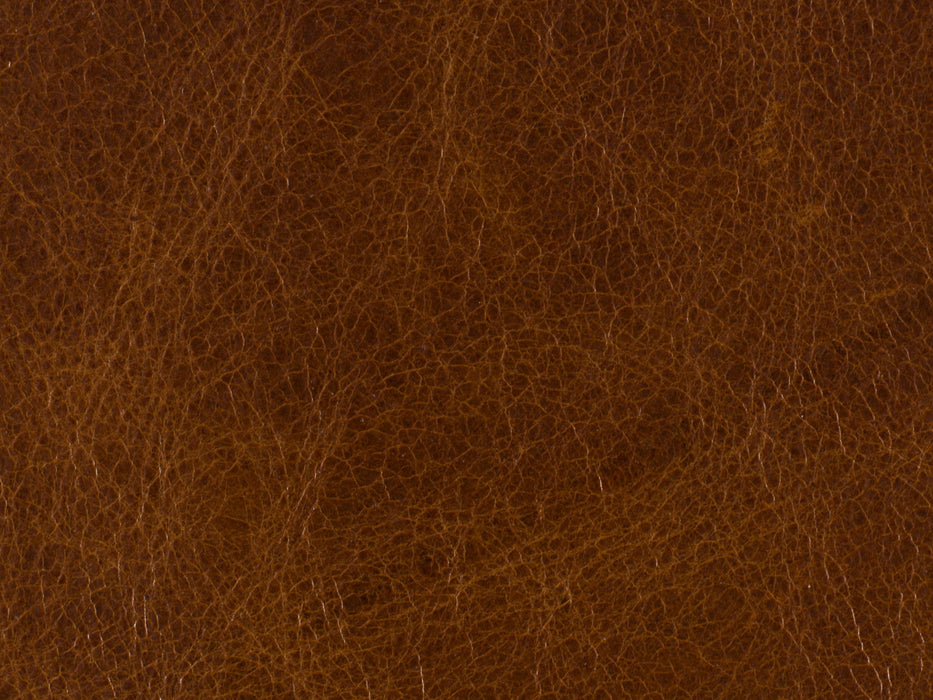 RC - Shasta Recliner