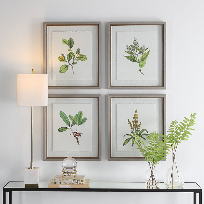 Wildflower Study - Framed Prints (Set of 4)