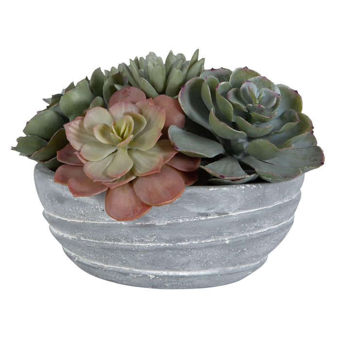 Peoria - Succulent Accent - Gray