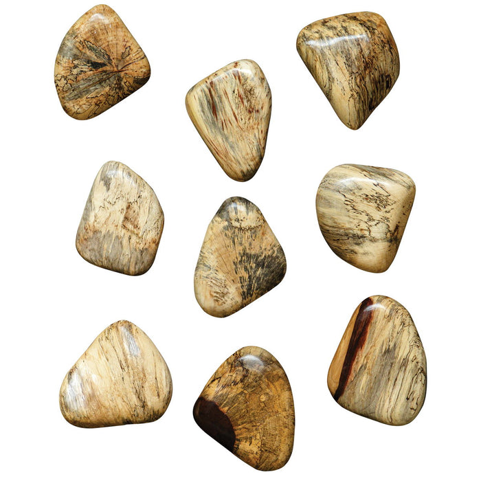 Pebbles - Blonde Wood Wall Décor (Set of 9) - Light Brown