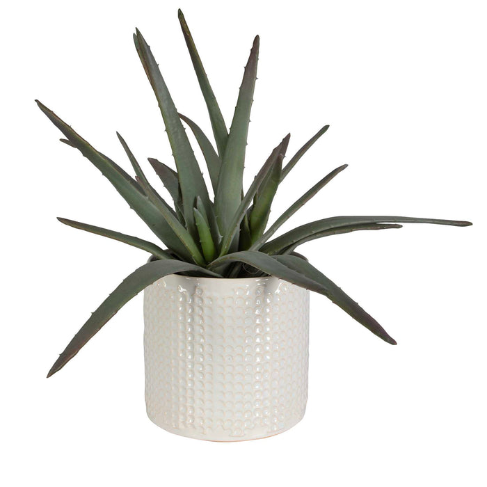 Taos - Aloe Centerpiece - Pearl Silver