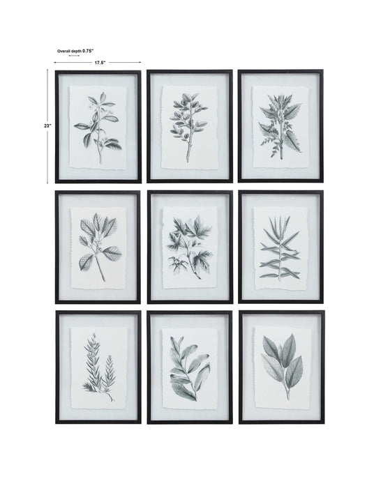 Farmhouse Florals - Framed Prints (Set of 9) - Black