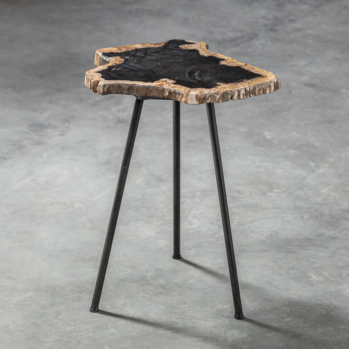 Mircea - Petrified Wood Accent Table - Black & Light Brown